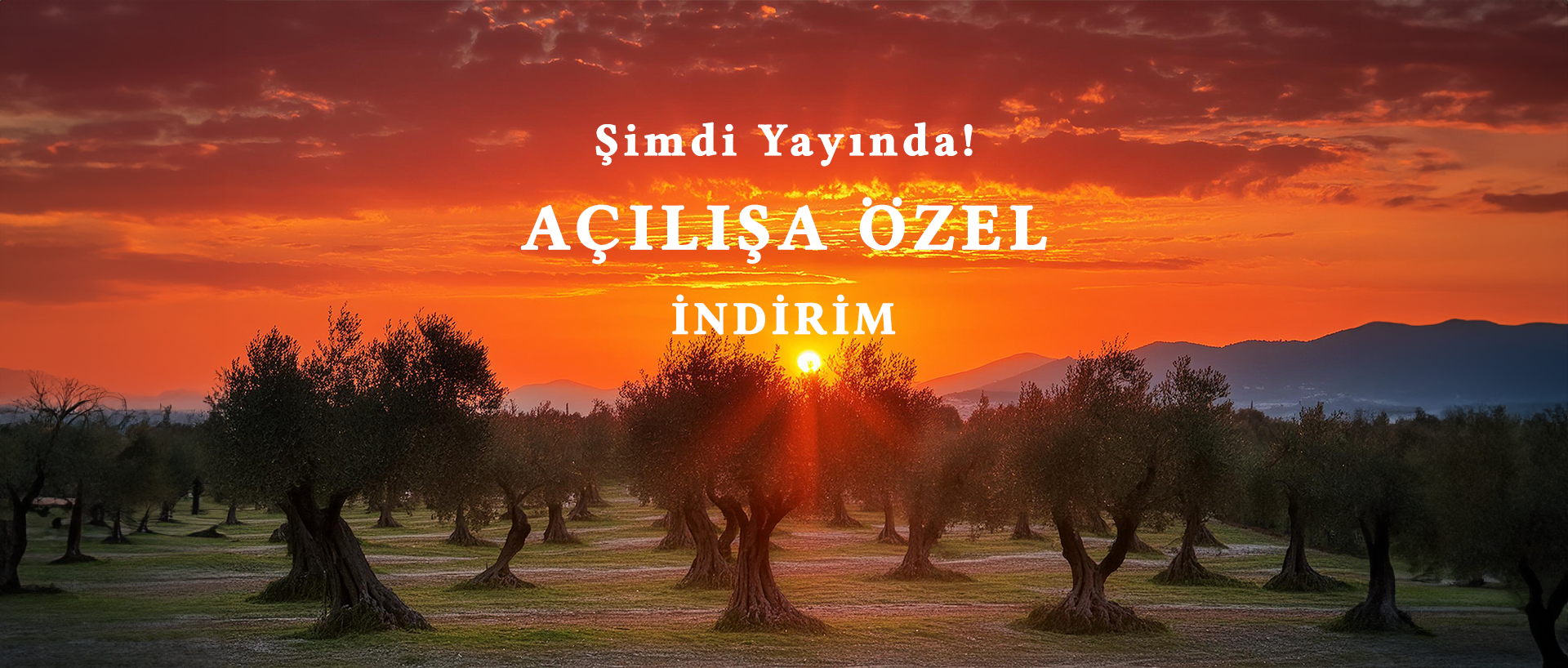 ŞİMDİ YAYINDA!